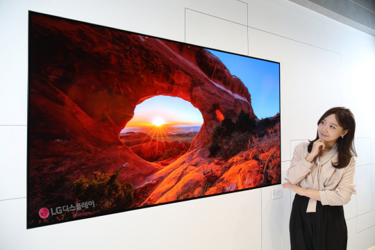 삼성·LG전자 OLED 패권다툼에…미소 짓는 LG디스플레이 | 디지털타임스